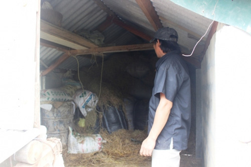 Xem "nhà lầu" tránh lũ cho trâu bò ở Quảng Trị - 6