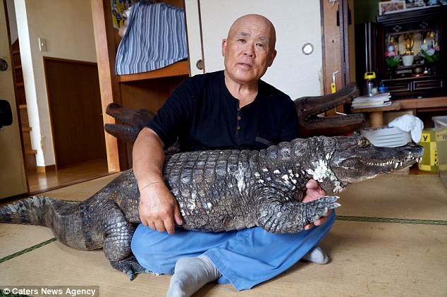Bầu bạn, ôm ấp cá sấu suốt 34 năm, bỏ bê cả vợ - 1