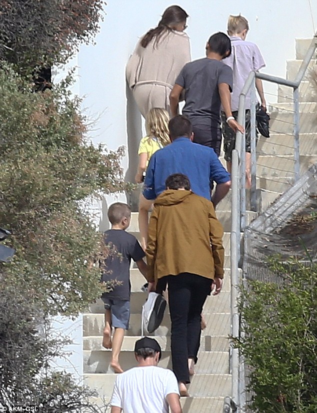 Angelina Jolie gầy rộc còn 34kg sau khi đệ đơn ly hôn - 2