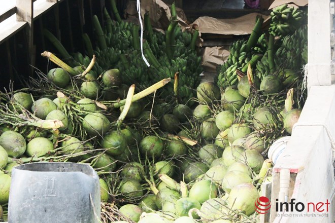 Có một chợ nổi miền Tây giữa Sài Gòn - 2