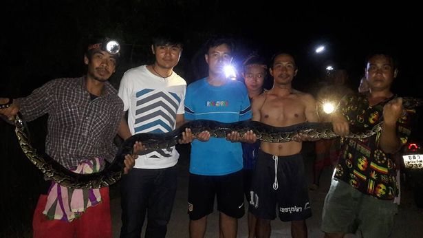 Video: Trăn sát thủ một mình kịch chiến 8 người đàn ông - 2