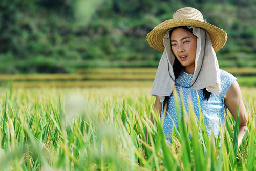 Những "gái quê" có cát xê tiền tỷ của showbiz Hoa ngữ - 10