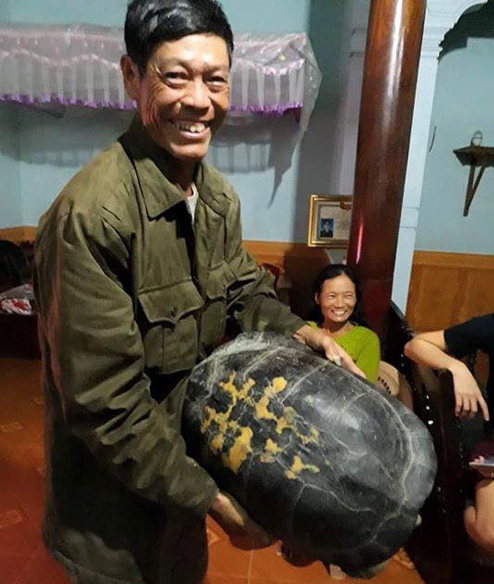 Đi hái rau muống, phát hiện rùa “khủng” - 2