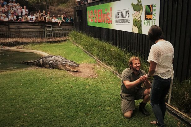 Úc: Vừa cho cá sấu khổng lồ ăn, vừa cầu hôn bạn gái - 1