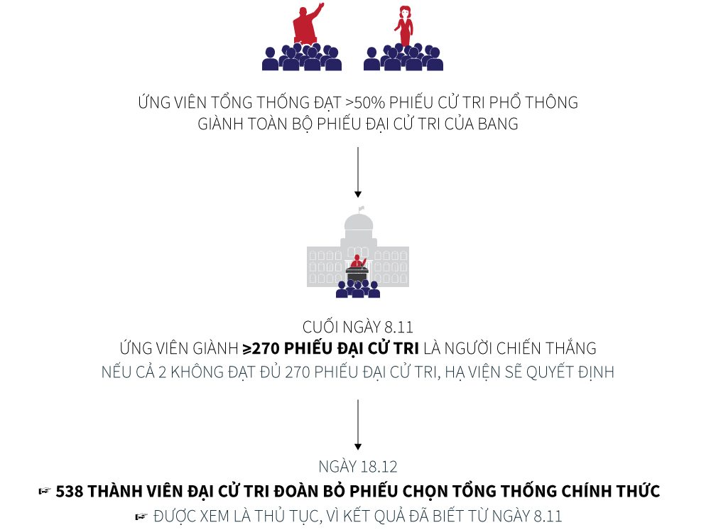 [Đồ họa] Hiểu thể thức bầu tổng thống Mỹ trong 1 phút - 3