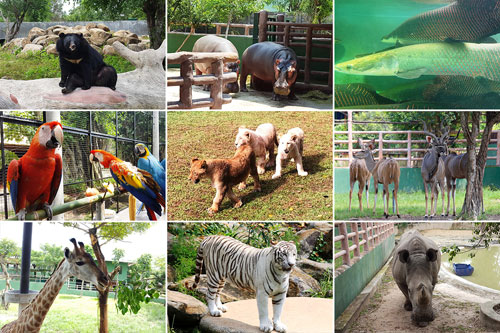 Món quà ý nghĩa dành tặng thầy cô 20/11 - 6