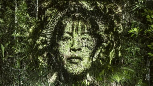 Kinh ngạc bộ tranh "vẽ” trên cây trong rừng Amazon - 4