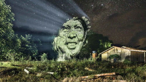 Kinh ngạc bộ tranh "vẽ” trên cây trong rừng Amazon - 5