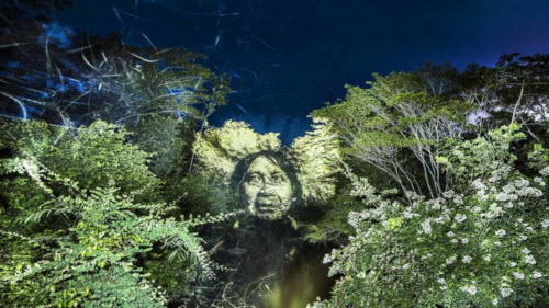 Kinh ngạc bộ tranh "vẽ” trên cây trong rừng Amazon - 6