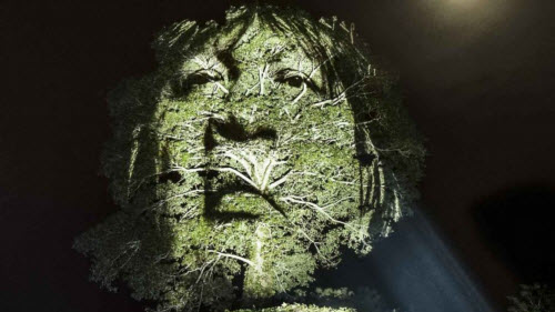 Kinh ngạc bộ tranh "vẽ” trên cây trong rừng Amazon - 7