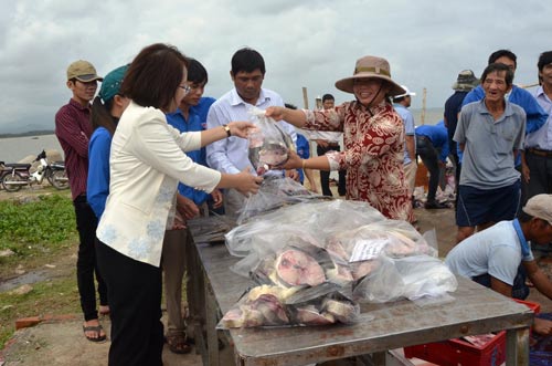 Quảng Ngãi: UBND huyện thu mua cá bớp giúp nông dân - 1