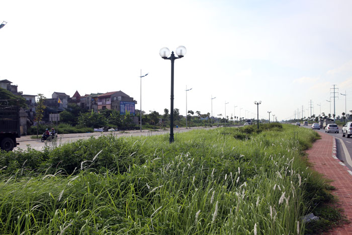 Đề nghị Hà Nội cắt cỏ đường quốc lộ - 1
