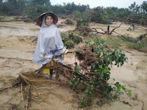 Tan hoang làng bưởi đặc sản Phúc Trạch - 10