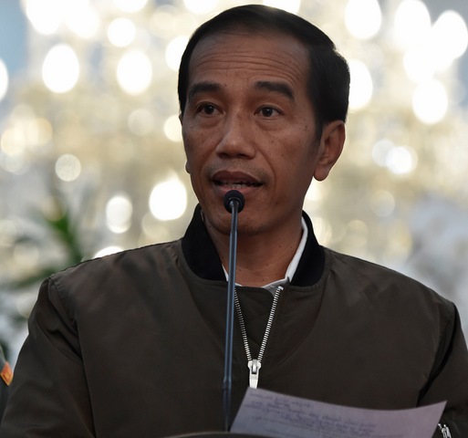Dân Indonesia “phát sốt” vì chiếc áo khoác của tổng thống - 1