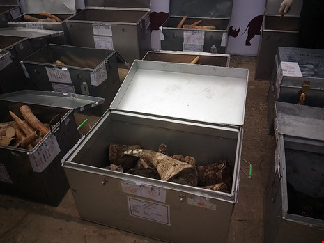 Lần đầu tiên Việt Nam tiêu hủy hơn 2.000 kg ngà voi - 3