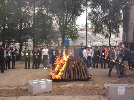 Lần đầu tiên Việt Nam tiêu hủy hơn 2.000 kg ngà voi - 8