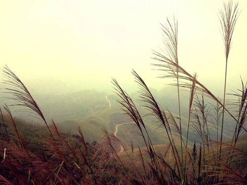 Khám phá Bình Liêu, Sapa thu nhỏ ở Quảng Ninh - 1