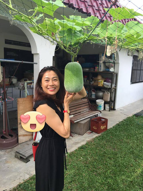 Phát thèm với vườn cây trái sai lúc lỉu của bà mẹ Việt kiều - 1