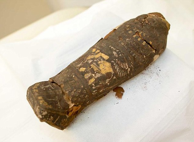 Tìm thấy xác ướp trẻ nhất thế giới cách đây 2.300 năm - 1