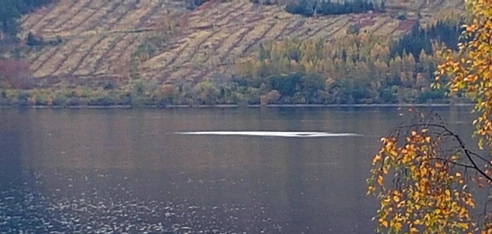 Bức ảnh cho thấy quái vật vui đùa dưới hồ Loch Ness? - 1