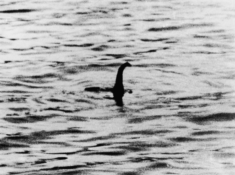 Bức ảnh cho thấy quái vật vui đùa dưới hồ Loch Ness? - 3