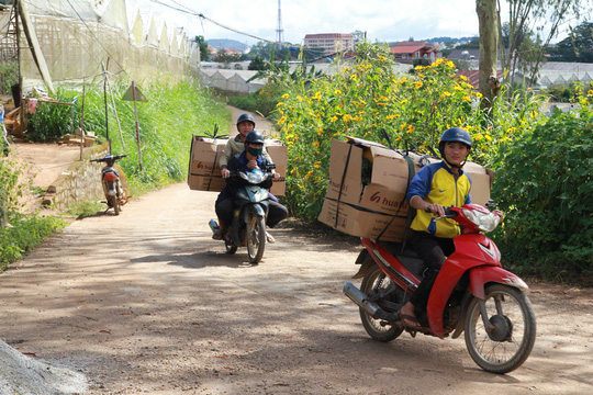 "Mua vàng còn dễ hơn mua hoa Đà Lạt" - 2