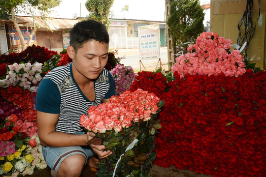 "Mua vàng còn dễ hơn mua hoa Đà Lạt" - 4