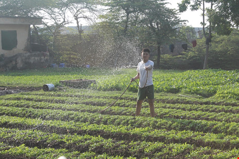 Học viên sống như thế nào trong trại cai nghiện? - 6