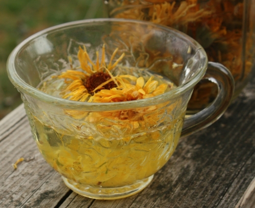 Chữa 20 bệnh hiệu quả rõ rệt chỉ bằng cúc vạn thọ trong vườn nhà - 3