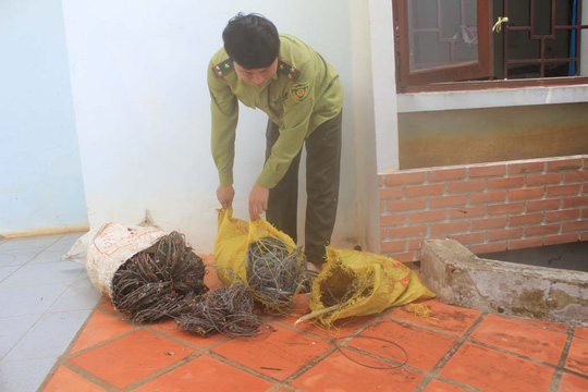 Săn thú trong... vườn quốc gia - 1