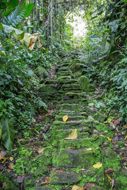 Choáng ngợp với thành phố cổ đang khai quật tại Colombia - 1