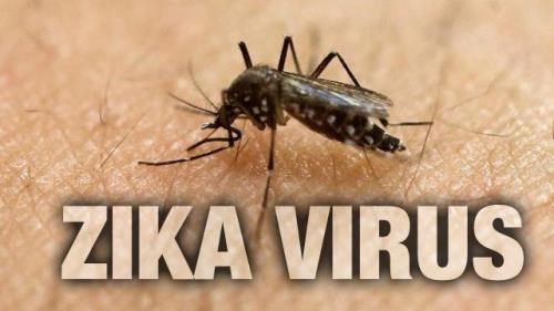 TP.HCM: Số ca mắc Zika tiếp tục tăng mạnh - 1
