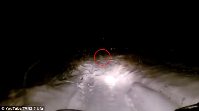 Video: Quái vật Yeti băng qua đường ở Nga? - 1