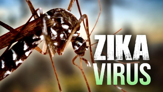 2 chị em ruột cùng nhiễm virus Zika - 1