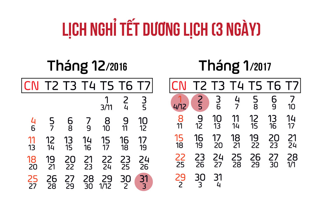 Năm 2017, người lao động được nghỉ lễ, tết bao nhiêu ngày? - 2