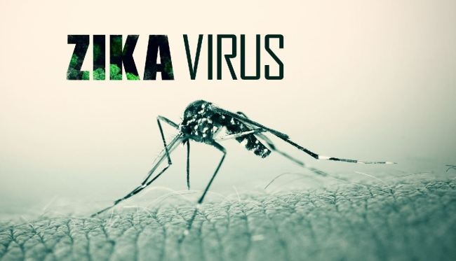 TP.HCM: Ngày nào cũng phát hiện ca nhiễm virus Zika - 1