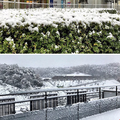 Ngắm tuyết rơi sớm tuyệt đẹp ở Nhật Bản - 1