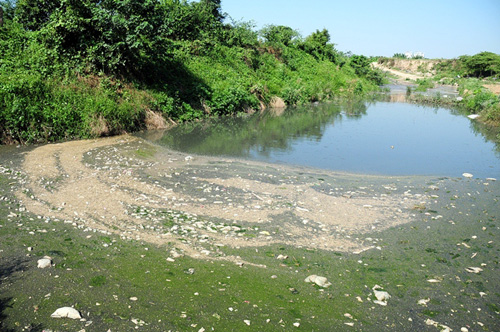 Phát hiện bãi thải ven sông Hồng ngập trắng bao cao su - 1