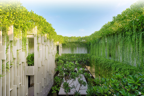 Đến Naman Garden, tận hưởng thiên đường nhiệt đới - 2