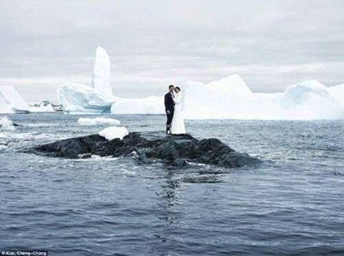 Cặp đôi đến Nam Cực làm đám cưới cùng chim cánh cụt - 1