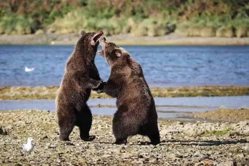 Nữ phượt thủ xinh đẹp và chịu chơi gây sốt mạng - 8