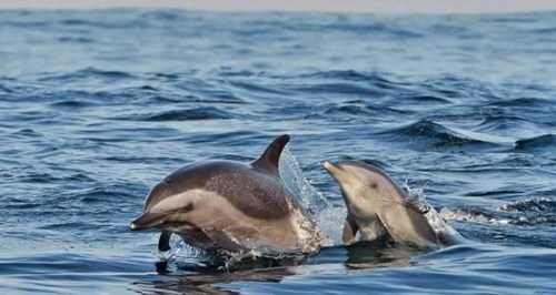 Nữ phượt thủ xinh đẹp và chịu chơi gây sốt mạng - 9