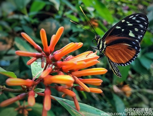 Nữ phượt thủ xinh đẹp và chịu chơi gây sốt mạng - 10