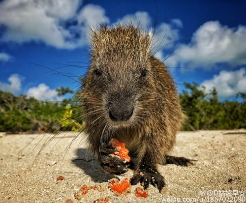 Nữ phượt thủ xinh đẹp và chịu chơi gây sốt mạng - 11
