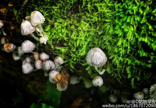 Nữ phượt thủ xinh đẹp và chịu chơi gây sốt mạng - 12