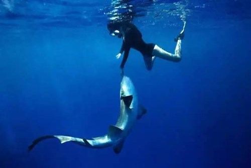 Nữ phượt thủ xinh đẹp và chịu chơi gây sốt mạng - 8