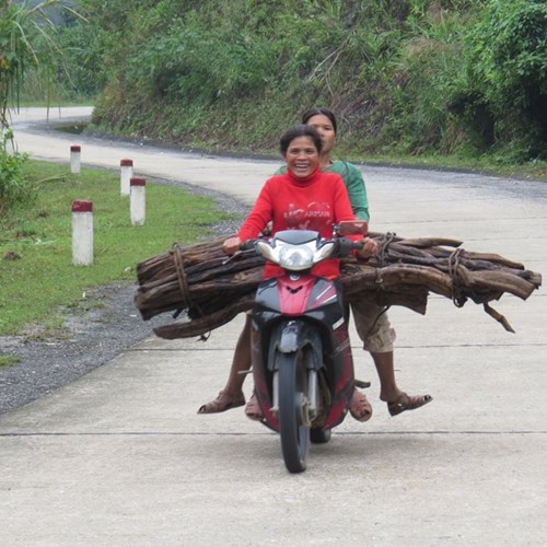 Tận diệt "thần dược" cỏ máu - 3