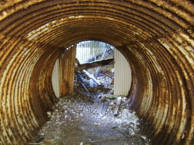 Những đường hầm bí ẩn trong rừng Anh quốc - 1