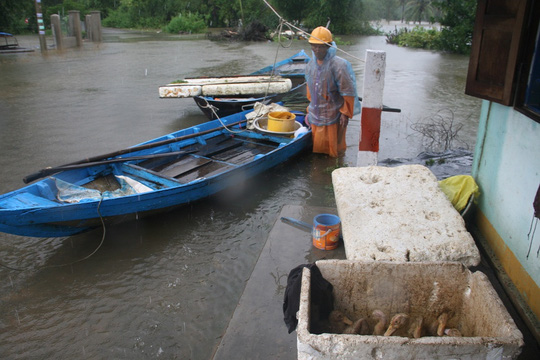 Quảng Nam: Nước lên nhanh, 2 mẹ con bị lũ cuốn trôi - 7