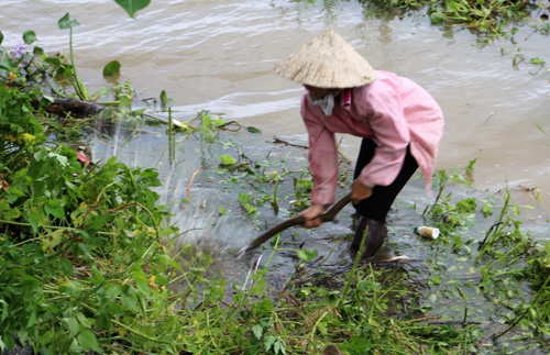 Nước lũ ngập đồng, người dân đổ xô đi &#34;săn&#34; chuột - 5